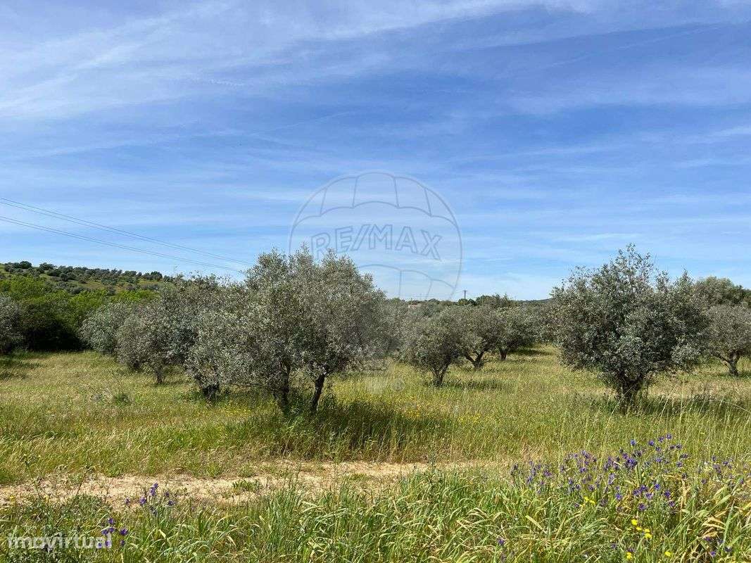 Terreno  para venda - Grande imagem: 4/12