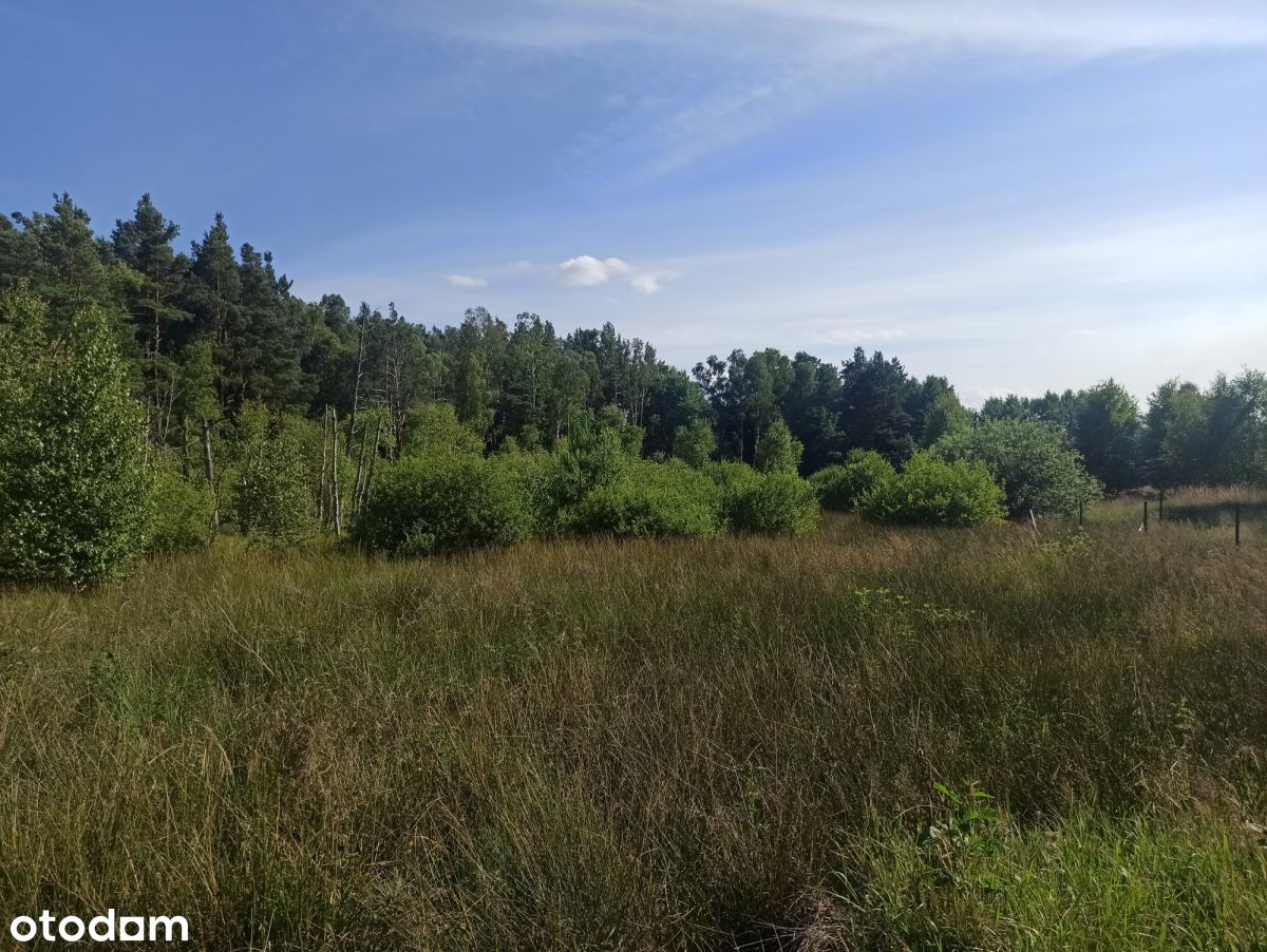 Leśniewo - tania działka 2369m2 z Wz z 04.2024r.