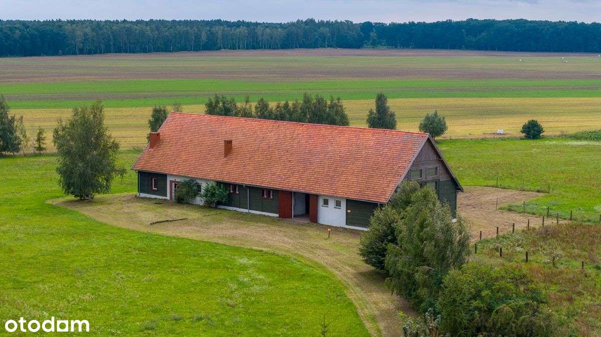 Duża działka +budynek - Stadnina Koni - Pełny obrazek: 1/20