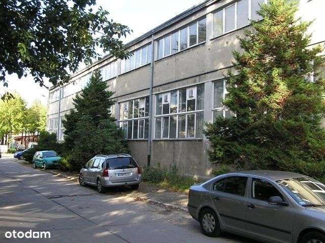 Hala w Świdnicy - Pełny obrazek: 2/8