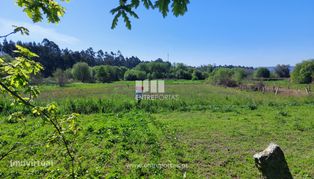 Venda de terreno agrícola, Alvarães, Viana do Castelo - Grande imagem: 4/15
