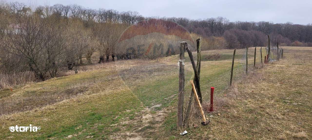 Teren 2925 mp comuna Mitocu Dragomirnei - Imagine principală: 4/20