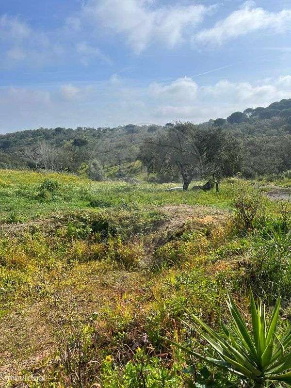 Terreno  para venda - Grande imagem: 5/24