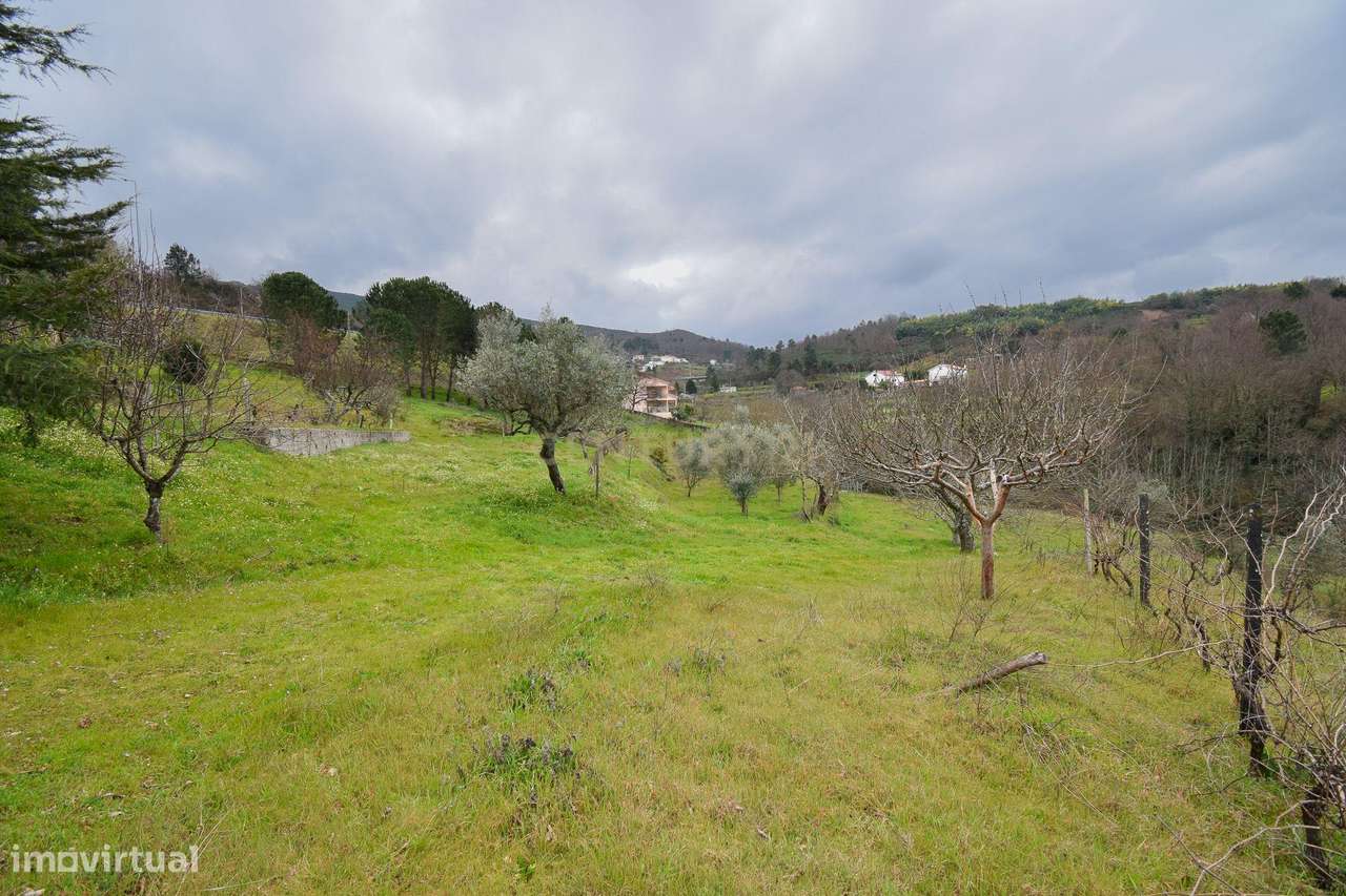 Quinta com construção em Pedra 20.000 m2 de terreno e Licença de Aloja-33