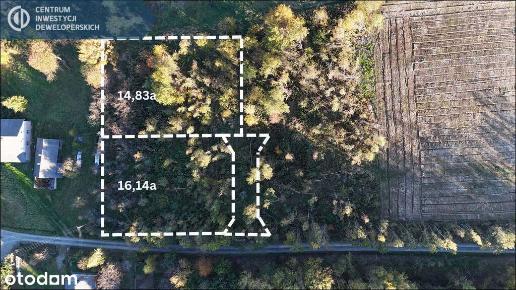 Ładna Budowlana działka 14,8a Lubenia z WZ - Pełny obrazek: 1/12