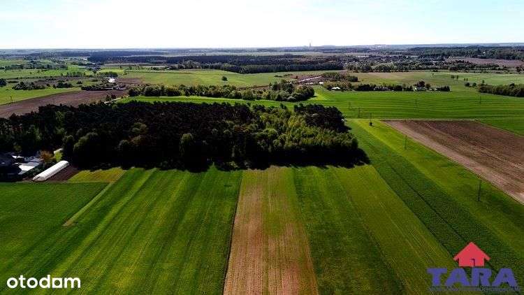 Grunt w Załachowie - Pełny obrazek: 4/13