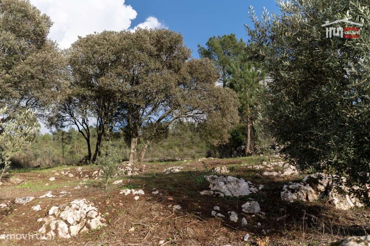 TERRENO PARA CONSTRUÇÃO COM AREA DE 1240 M2 EM VALE SOBREIRO SÃO MA... - Grande imagem: 4/9