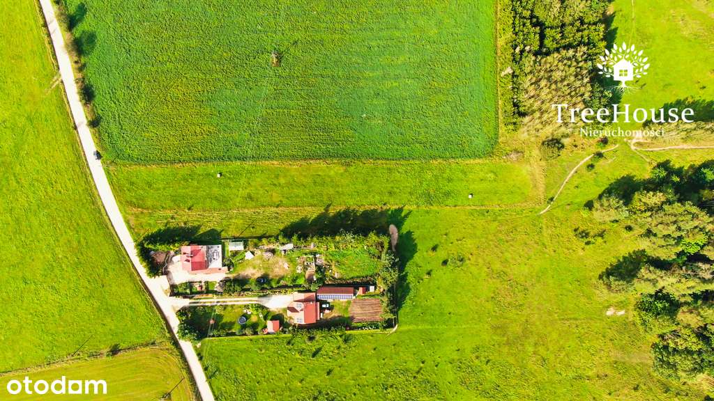 Złożone WZ; działka w okolicach Mrągowa - Pełny obrazek: 5/7
