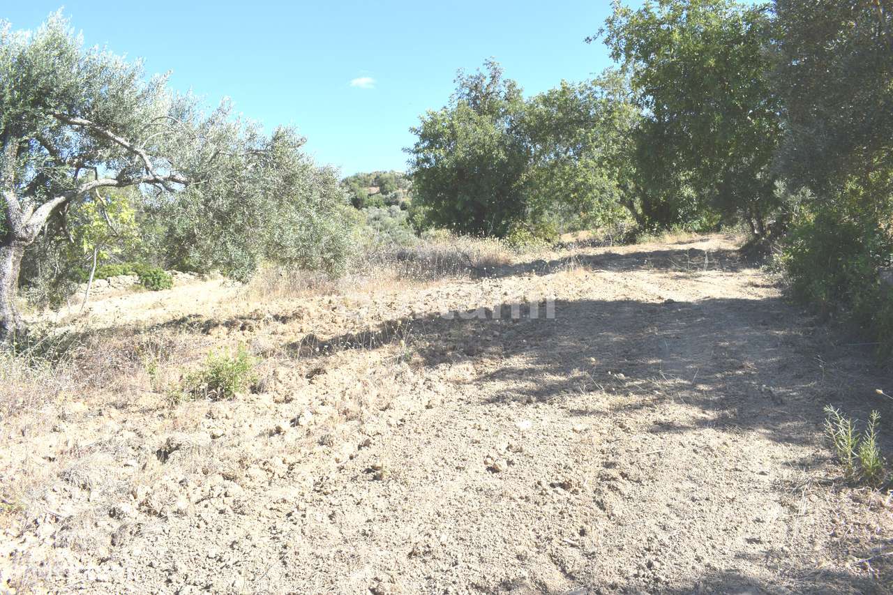 Terreno Rústico  Venda em Boliqueime,Loulé - Grande imagem: 2/6