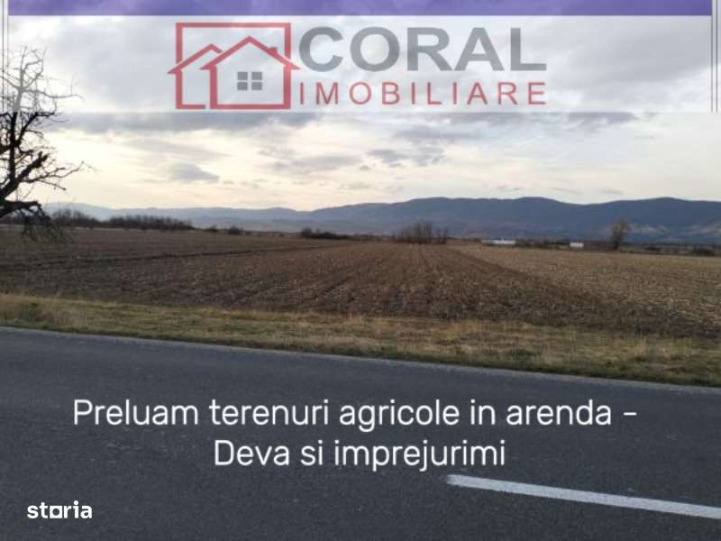 Preluam terenuri agricole in arenda - Deva si imprejurimi-1