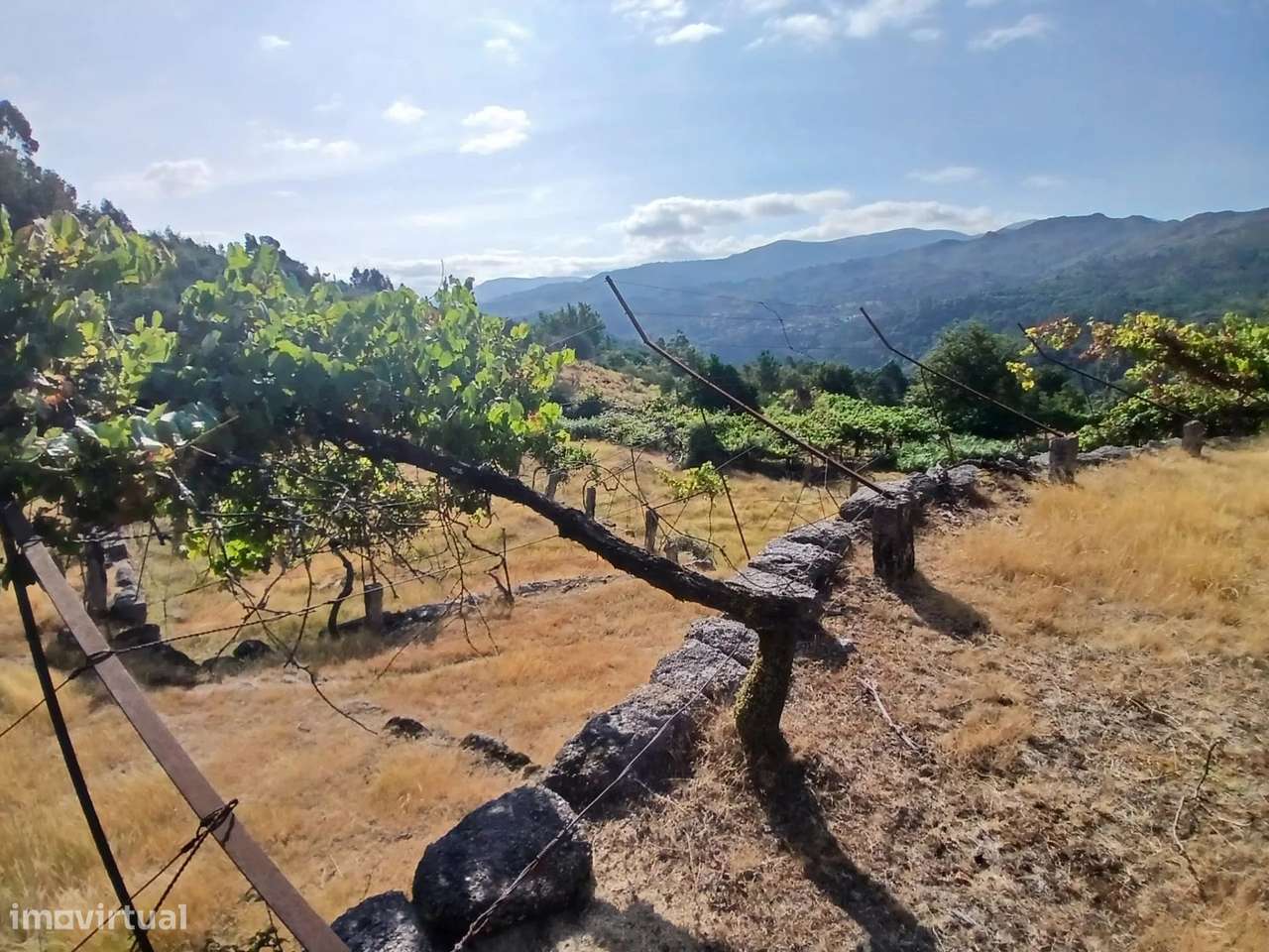 Terreno rústico com casa em pedra para recuperar – Soajo, Arcos de Val-23