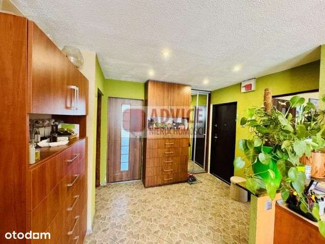 3 pokoje, Gaj, balkon, dwustronne-5