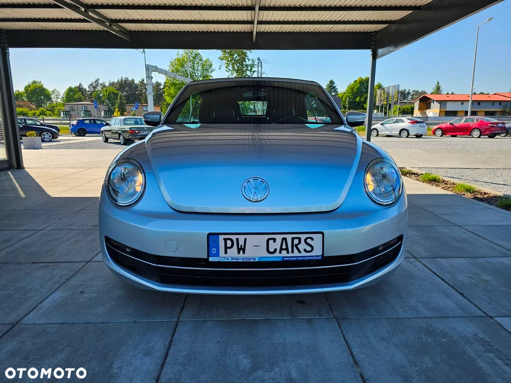 Volkswagen Beetle - 8