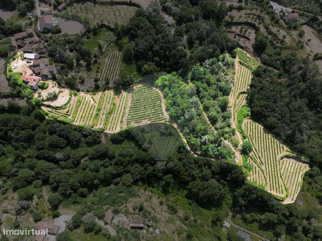 Quinta  para venda - Grande imagem: 2/23