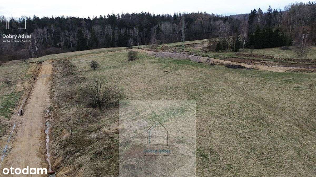 Działki z mediami w Staniszowie - Pełny obrazek: 5/6