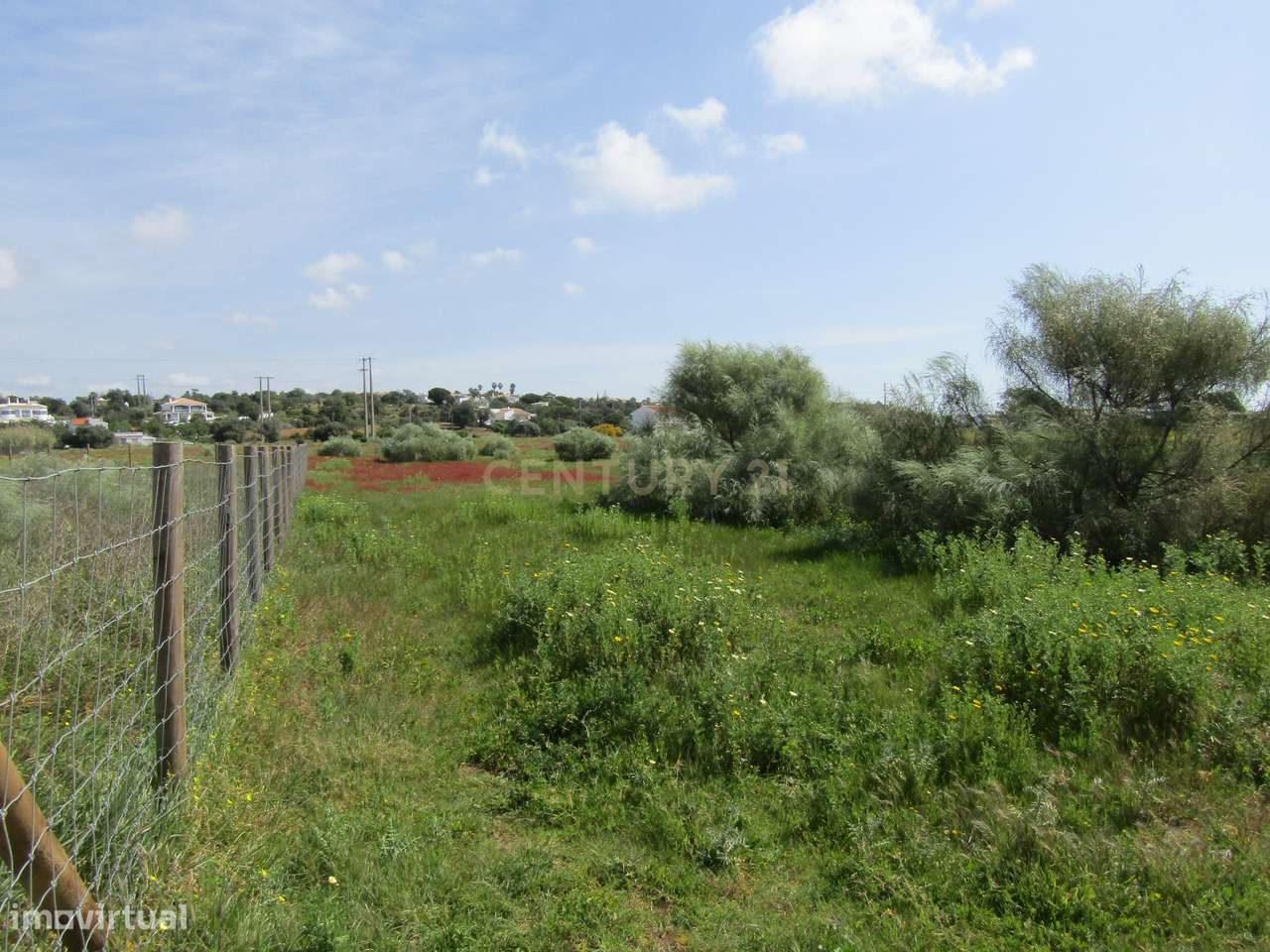 Terreno Rústico - Grande imagem: 4/11