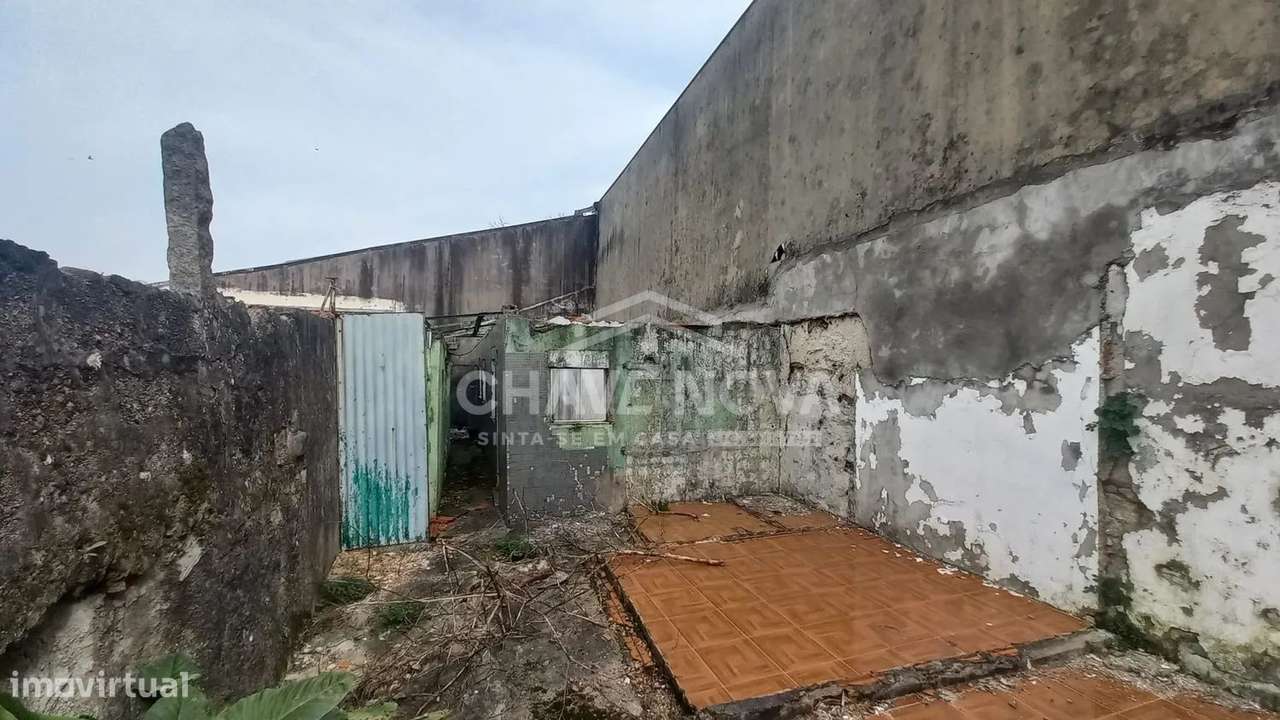 Ilha com 7 casas | Oliveira do Douro - Grande imagem: 5/11