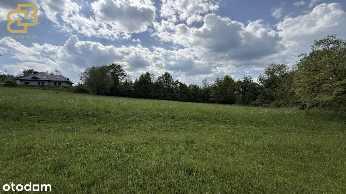 Twoja przestrzeń w naturze – działka 1,78 ha-7