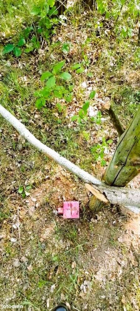 Działka z WZ, gm. Lutomiersk, Franciszków, 2700 m2, atrakcyjna cena-6