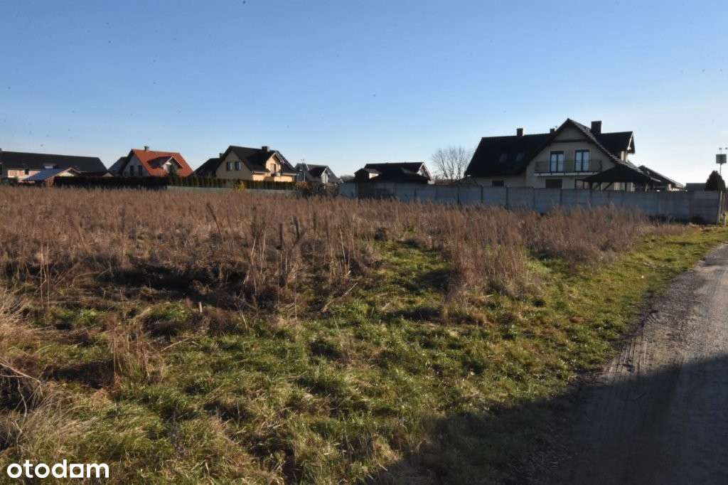 Działka budowlana Jędrzychów ul. Łabędzia - Pełny obrazek: 2/6