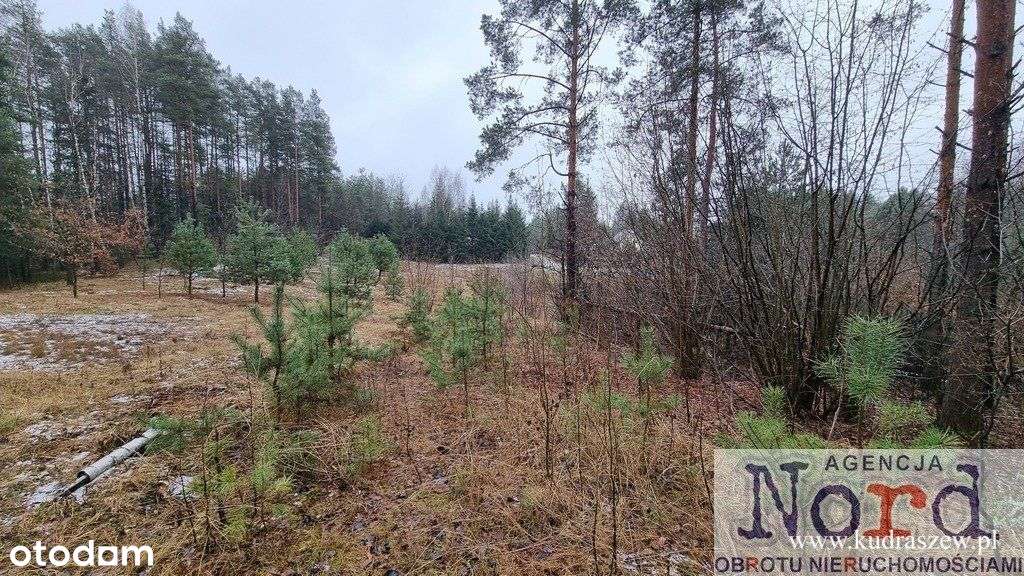 Działka w pobliżu jeziora, plaży - Pełny obrazek: 4/12