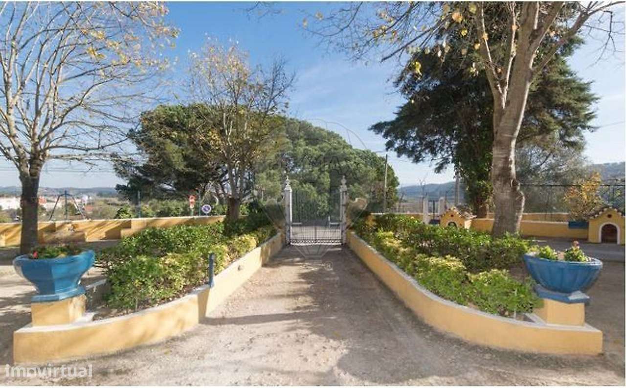 Quinta T21 para venda-38