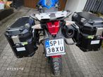 Triumph Tiger - 6