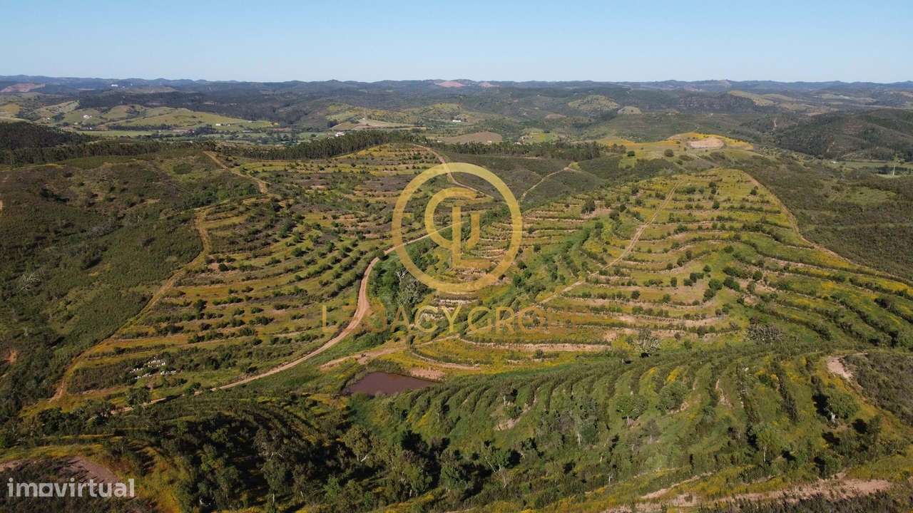 Terreno de 15,6 hectares em Sabóia, Odemira - Grande imagem: 4/12
