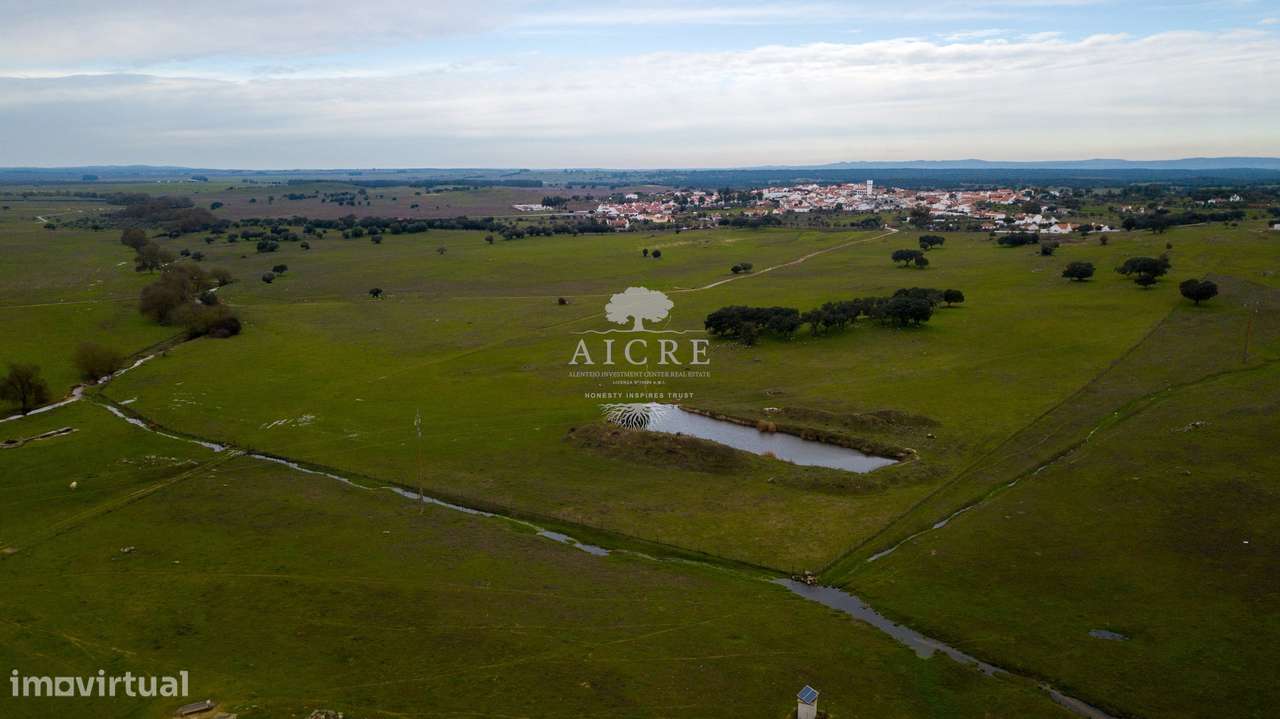 Oportunidade de Investimento Rural com Capacidade Fotovoltaica - Grande imagem: 4/9