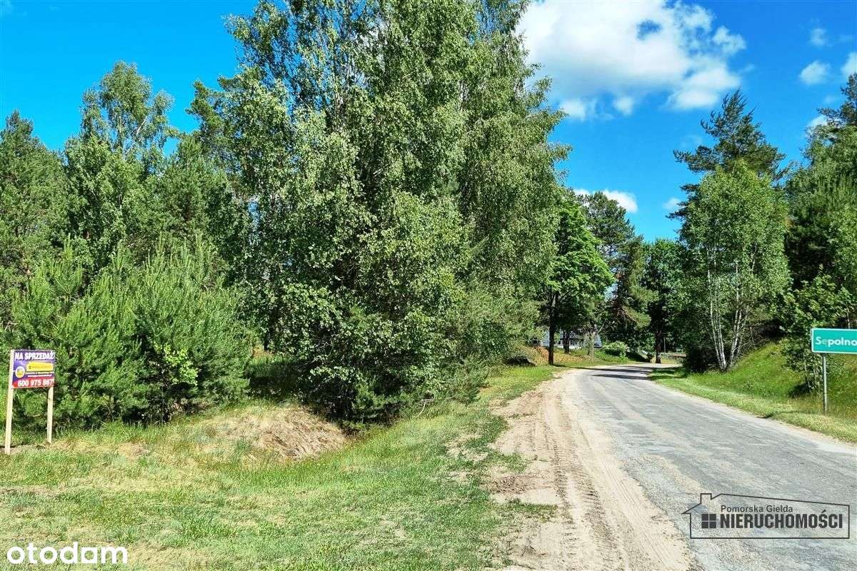 Działka budowlana na skraju wsi, przy lesie. - Pełny obrazek: 4/20