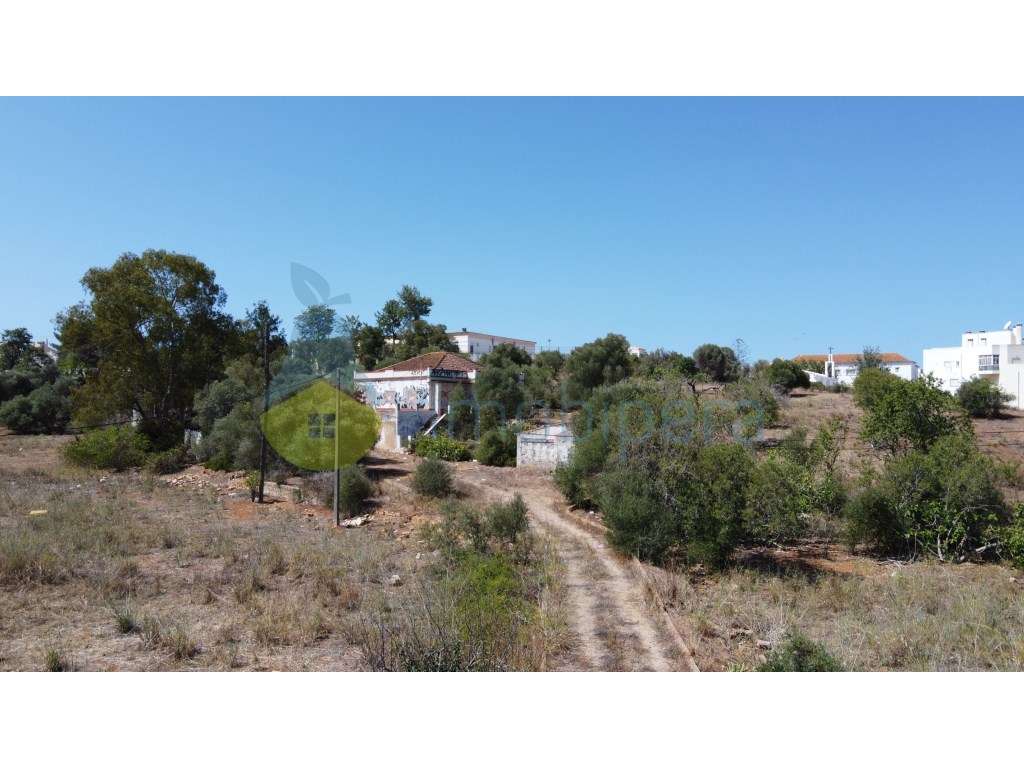 Lote no Parchal - Grande imagem: 5/11