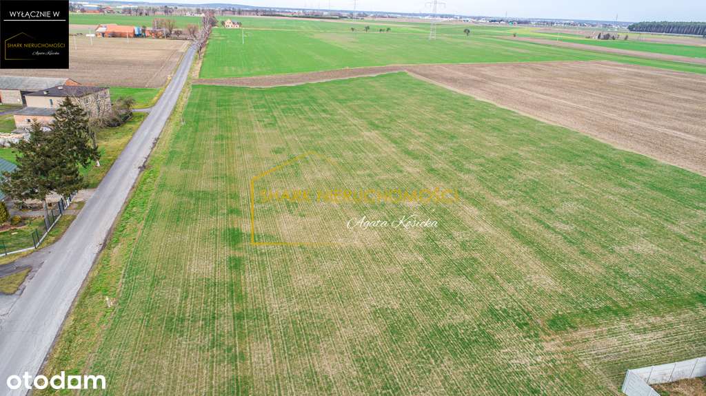 Działka budowlana -5km od ekspresówki A5 ->Steszew - Pełny obrazek: 5/8