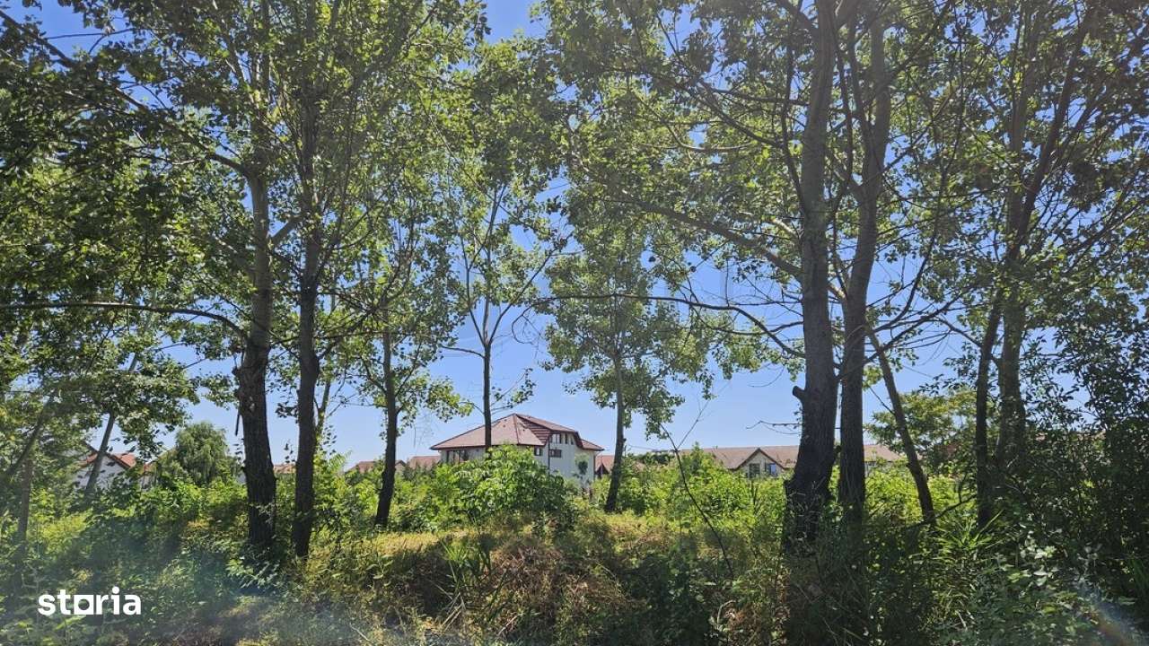 Teren de vanzare in Baneasa - Imagine principală: 5/9