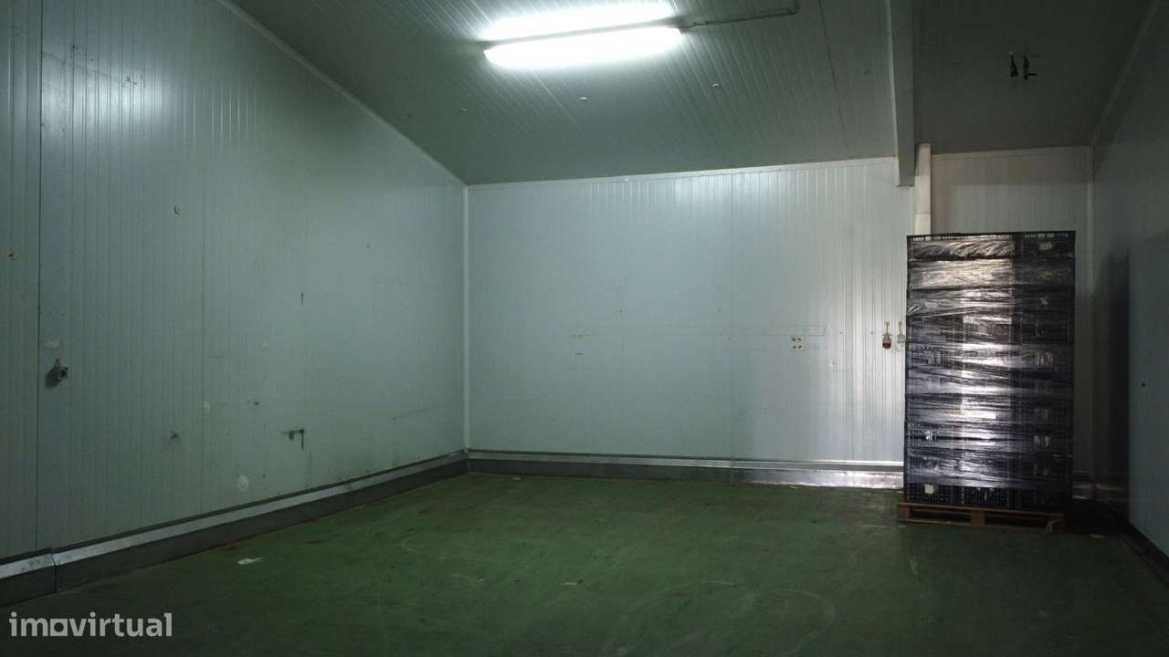 Armazém Industrial com Câmaras Frigoríficas – Lourinhã-12