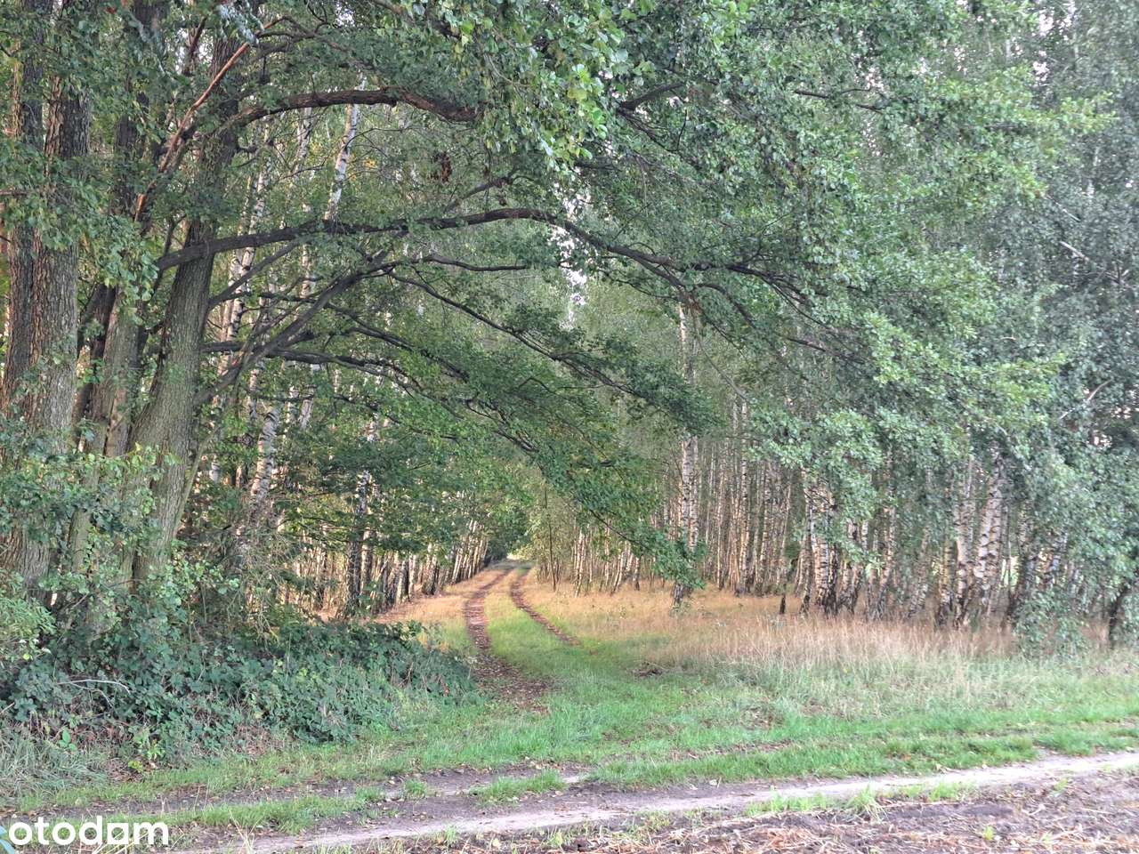 Sprzedam działkę bezpośrednio