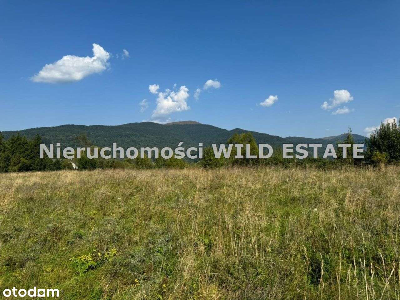 Działka, 6 701 m², Cisna - Pełny obrazek: 5/11