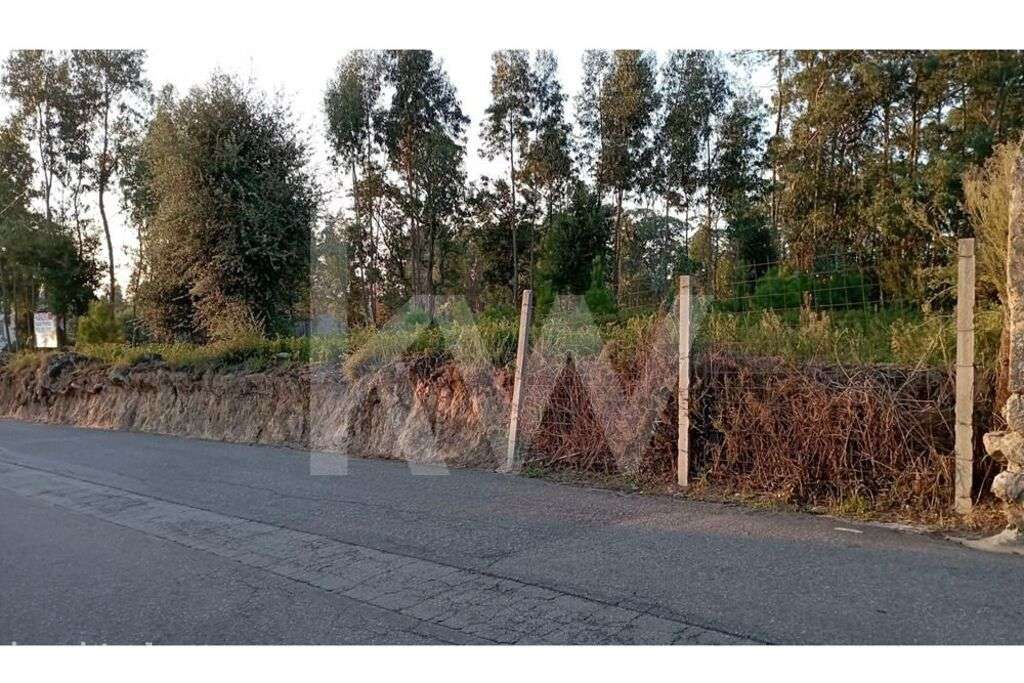 Terreno de construção em ponto alto com 2110m2 e 49 metros de frente d - Grande imagem: 4/13