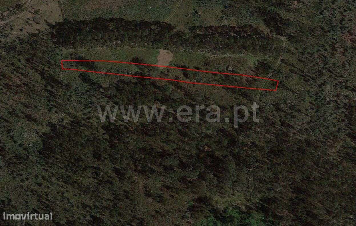 Terreno em Arões São Romão - Grande imagem: 5/12