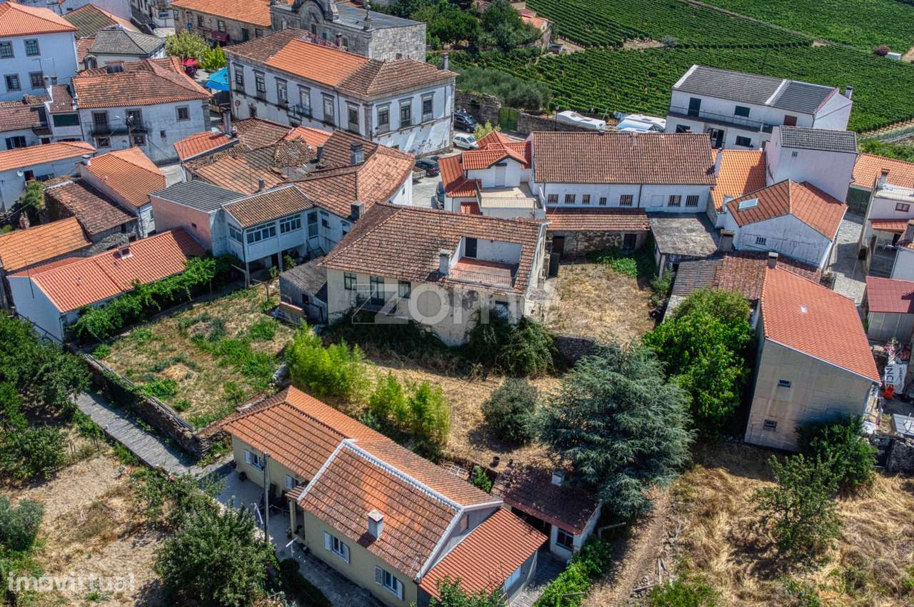 Moradia c/9 divisões, vinha e armazém em Lugar de São Gonçalo, Fava...-35