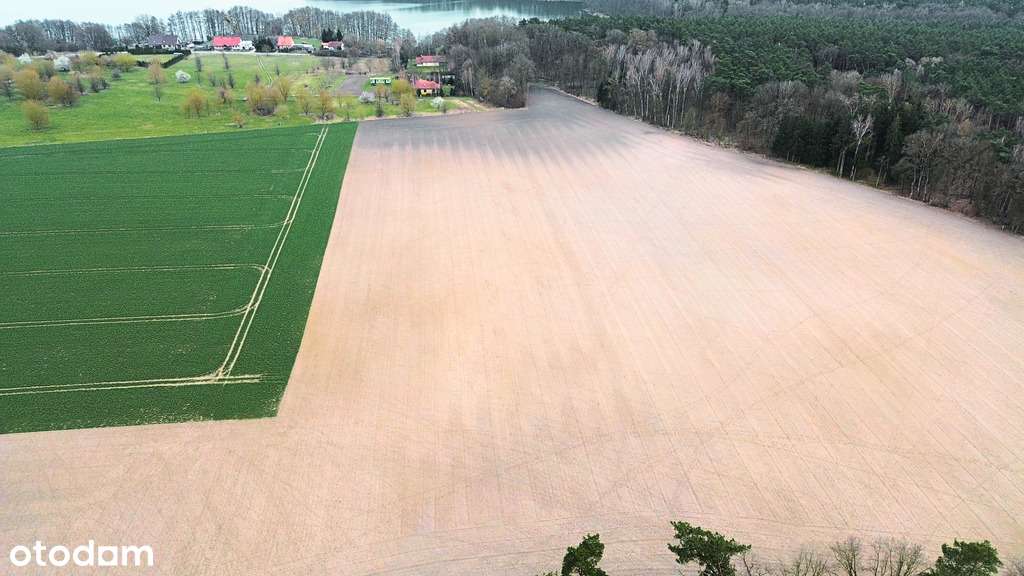 Twoja enklawa wśród lasu i jezior-6