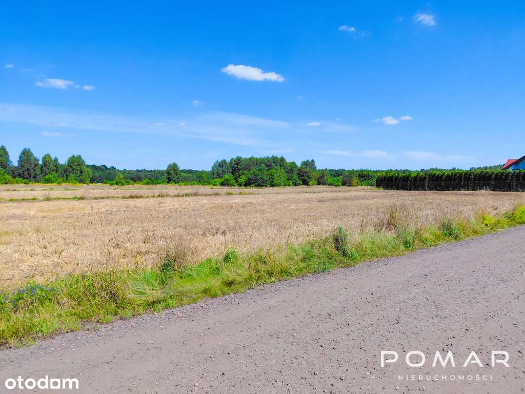 ★ Tylko u nas! Piękna działka - Książenice - Pełny obrazek: 4/8