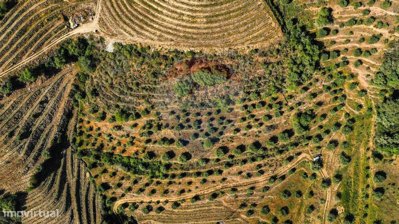 Terreno  para venda - Grande imagem: 4/6