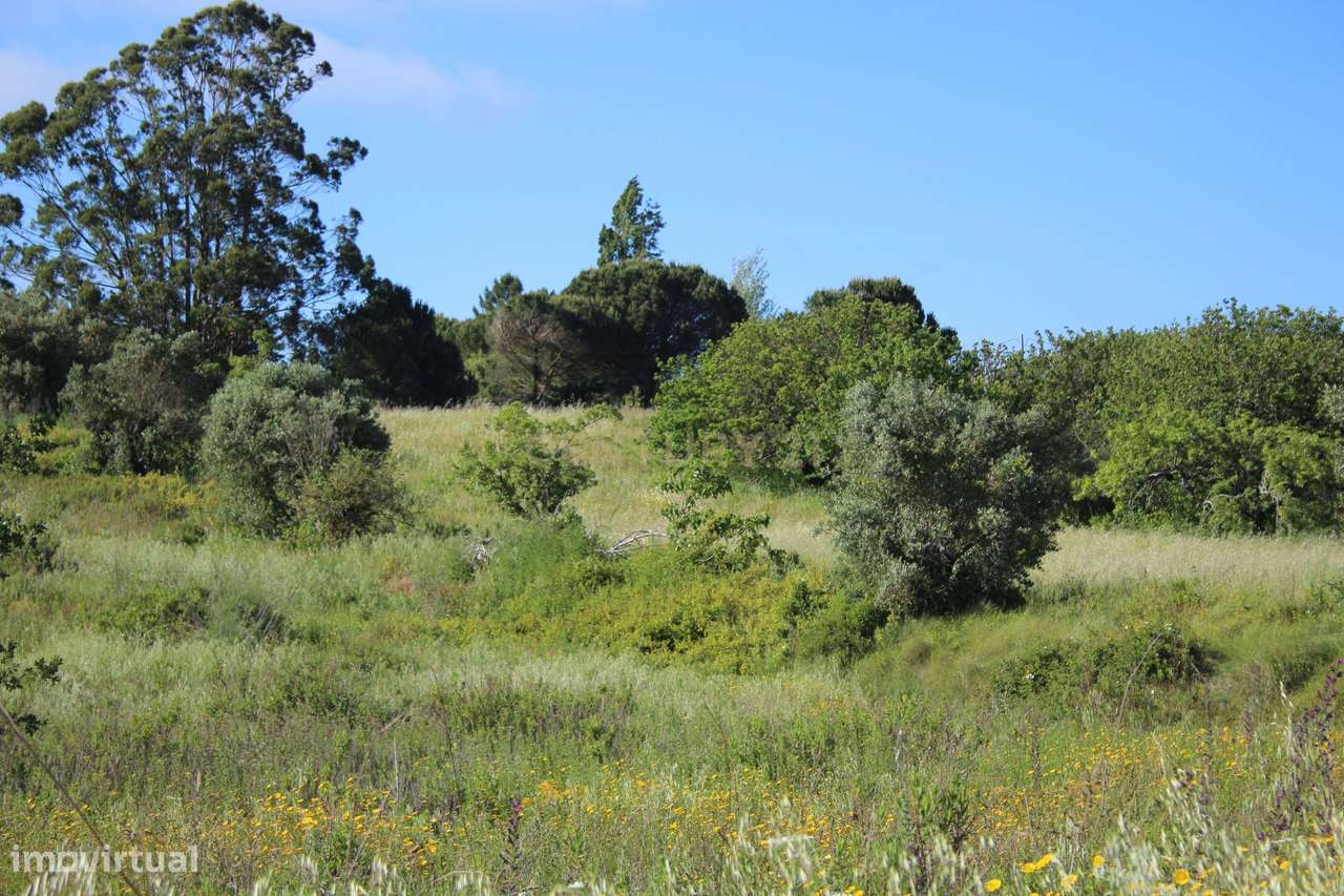 Oportunidade Única de Investimento em Terreno com Potencial Agrícola e-16
