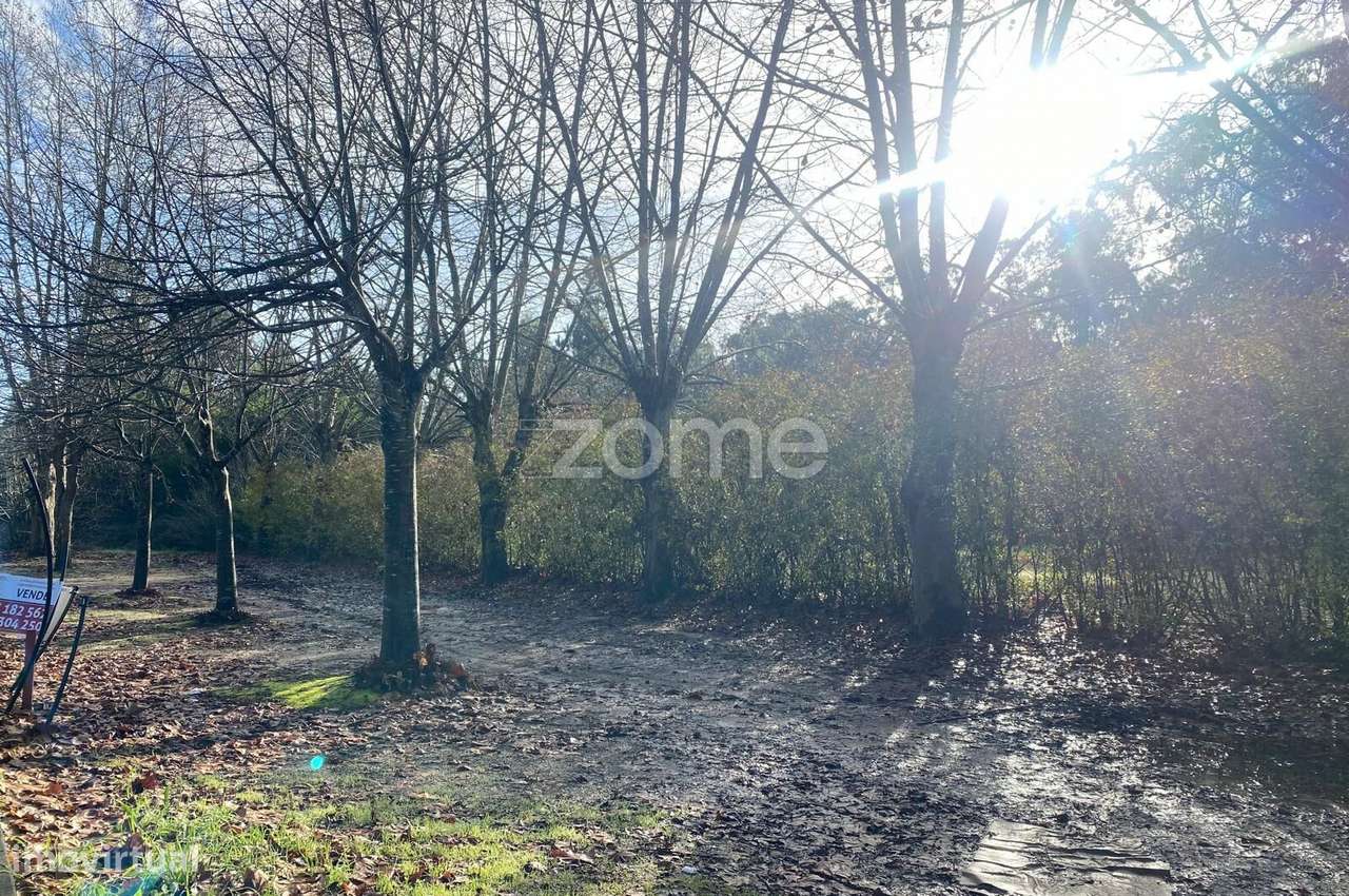 Loteamento Ouro Verde - Lote 1 - Grande imagem: 4/16