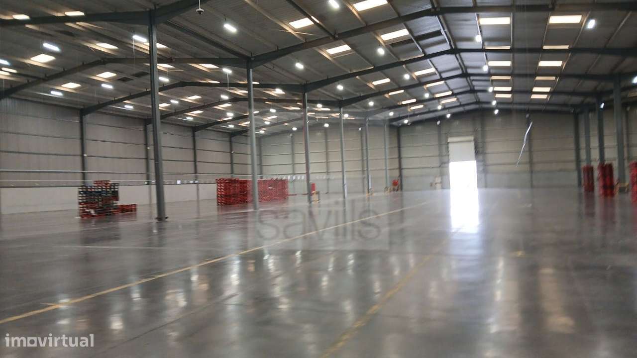 Armazém | Azambuja 5 - Grande imagem: 4/22