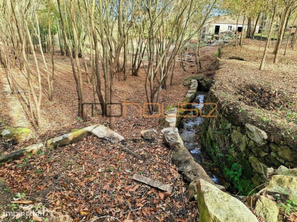 Quinta com Ribeiro e casa para restaurar - Terreno de cultivo-10