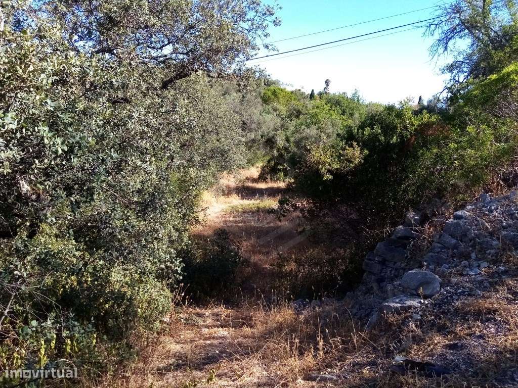 Terreno rústico com uma área de 3207 m2, Loulé, Algarve - Grande imagem: 5/23