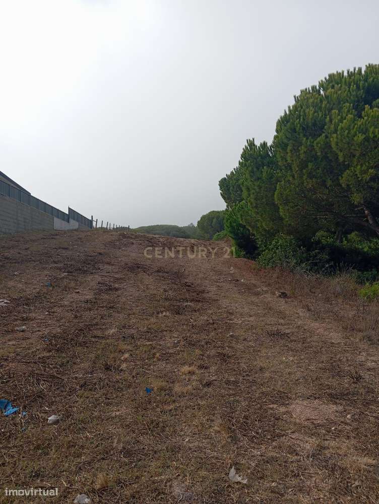 Terreno com área de 10.000m2 com projeto aprovado perto da Aldeia do M-14