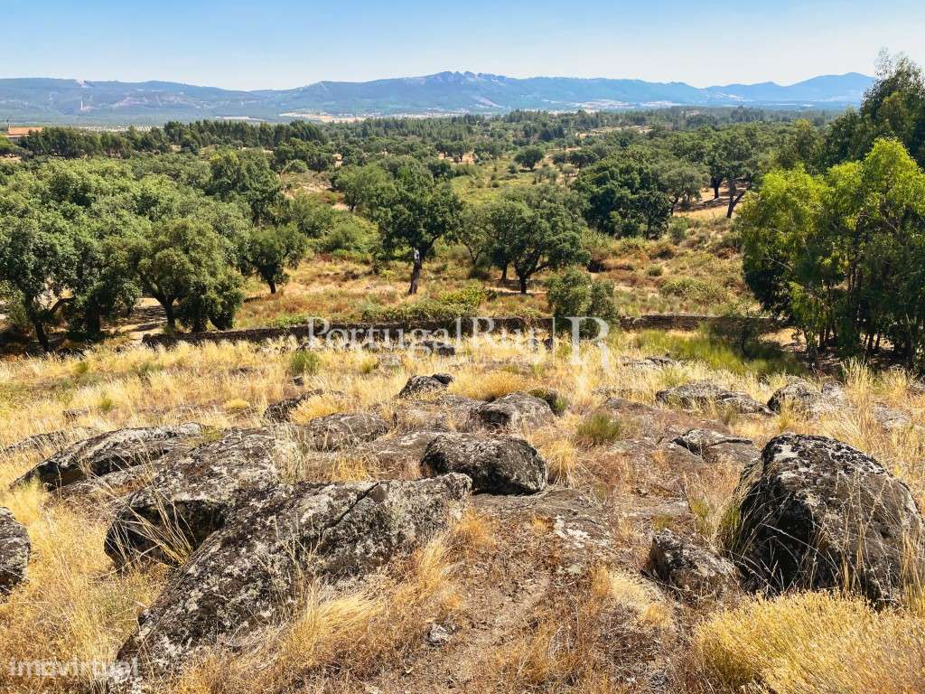 Terreno Rústico em Eugénia - Monsanto - Grande imagem: 5/14