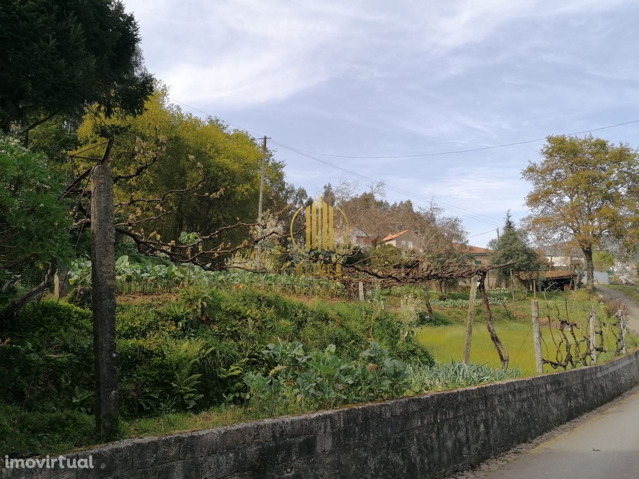 Terreno  Venda em Anais,Ponte de Lima